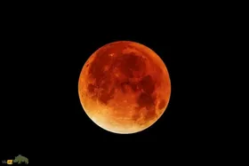 زمان دقیق ماه گرفتگی شهریور ۱۴۰۴ در ایران؛ کجای ایران بهتر می‌توانیم «ماه خونین» را ببینیم؟