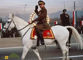 تصاویر | تونل زمان؛ داستان آذر اسب محبوب محمدرضا پهلوی که بعد از انقلاب به شکل عجیبی کشته شد