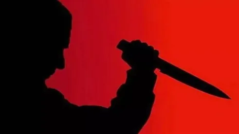 (ویدئو) لحظه چاقو خوردن یک بلاگر در کنسرت ساواش