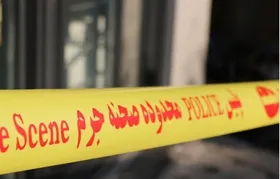 قتل مرموز مدیرعامل شرکت خصوصی با کلت کمری