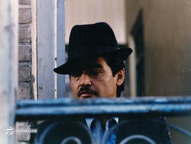 تصاویر از رضا رویگری