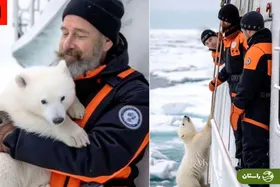 ویدیوی نجات خرس قطبی کاربران را فریب داد!