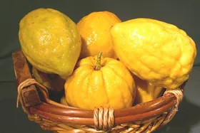 خواص بالنگ برای سلامت بدن، شما را شگفت‌زده می‌کند!