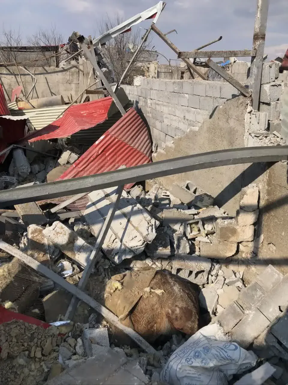 حمله به مرکز نگهداری اسب