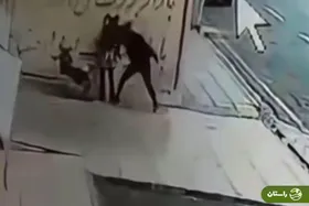 ویدئو | زورگیری وحشیانه از زنی که بچه در آغوش داشت