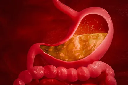 اسید معده فلز را حل می‌کند؛ پس چگونه به خود معده آسیب نمی‌زند؟