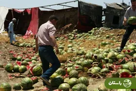 فیلمی عجیب از رودخانهٔ هندوانه در بوشهر!