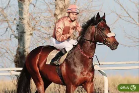 مرگ دلخراش چابکسوار گلستانی در کورس بندرترکمن + ویدئو