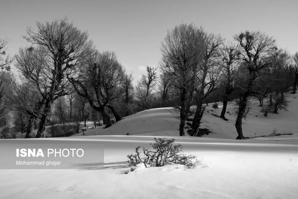 بارش برف در گلستان