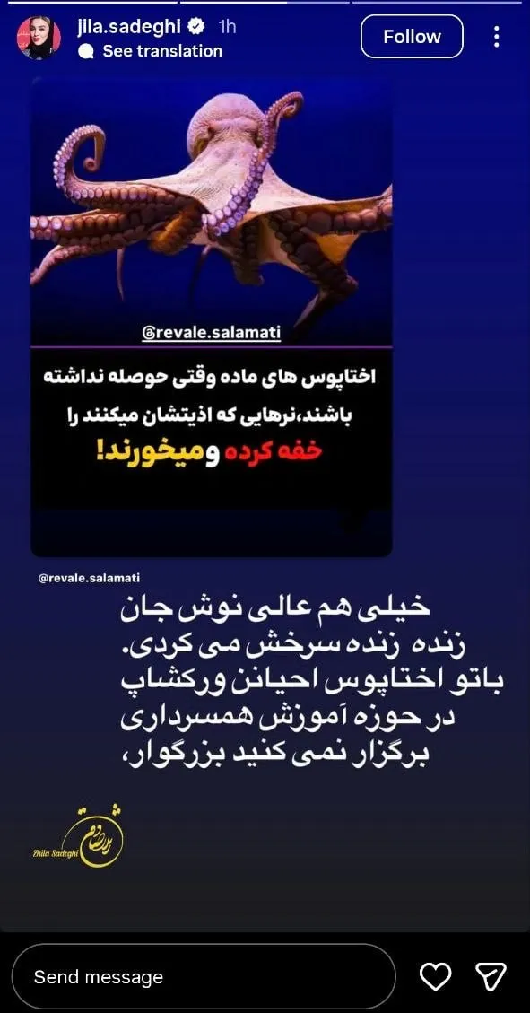 ژیلا صادقی و استوری کنایه آمیزی که منتشر کرد ژیلا صادقی و استوری کنایه آمیزی که منتشر کرد