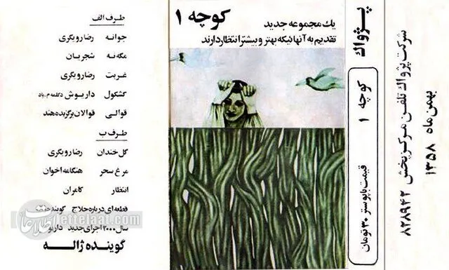 تصاویر از رضا رویگری