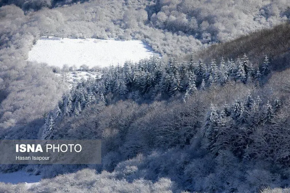 سوادکوه در برف
