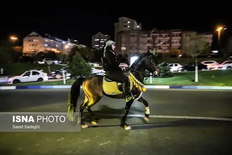 عکس | دختر تبریزی با اسب در تجمع شبانه حضور یافت