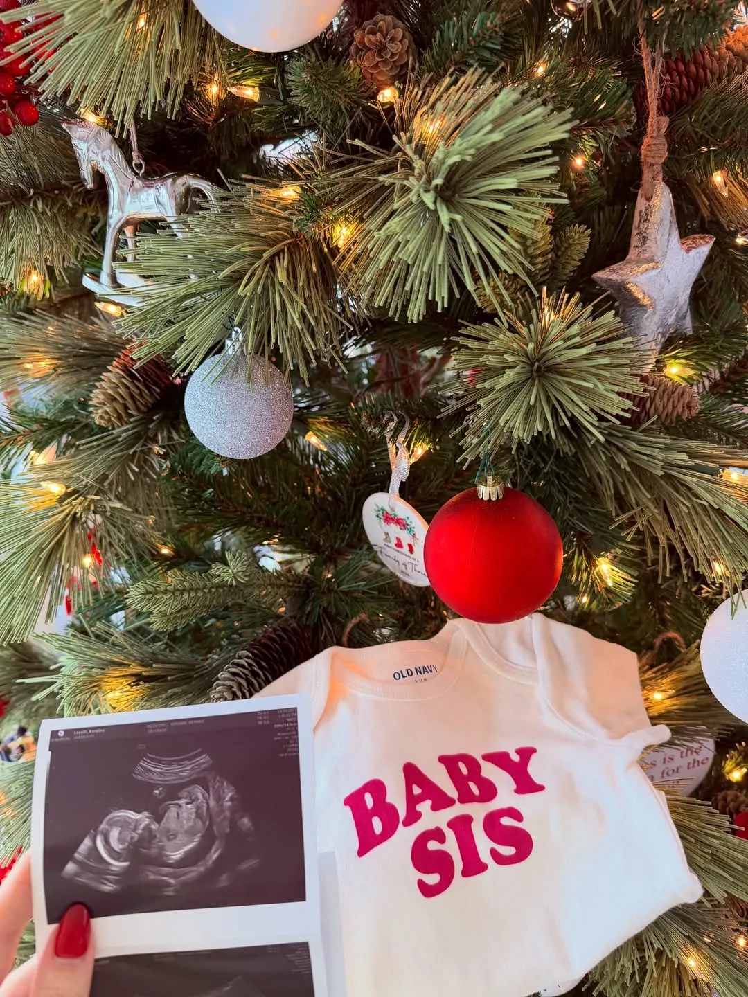 سخنگوی کاخ سفید حامله شد