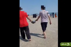 ویدئو | رفتار شرم‌آور دو گردشگر با لاک‌پشت ارزشمند در قشم