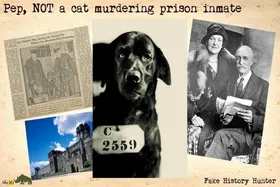 این سگ به جرم قتل یک گربه زندانی شد! + تصاویر