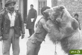 عکس |‌ تونل زمان؛‌ کشتی با خرس در تهران قدیم