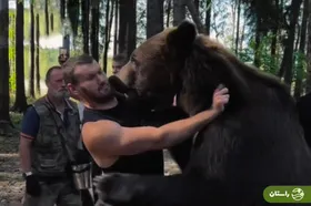 ویدئو | کشتی بوکسور روس با خرس قهوه‌ای غول‌پیکر!