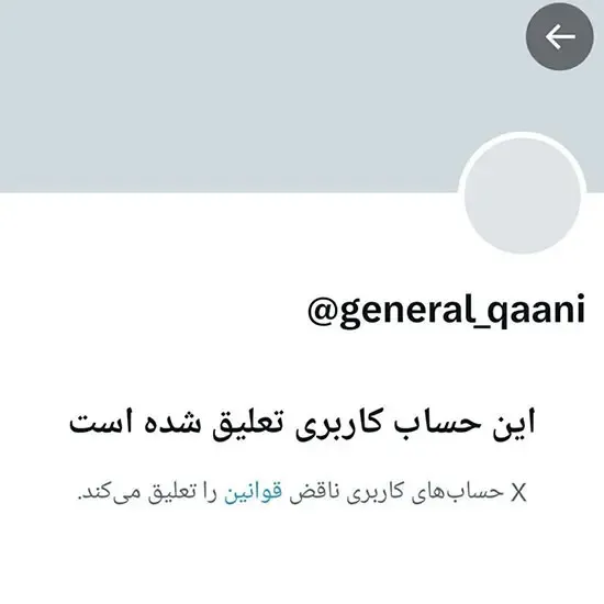 قاآنی و حذف از ایکس