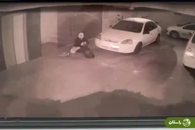 ویدئویی پربازدید از سارق کفش‌های اورجینال و برند مشهور به «سامی ورنی»