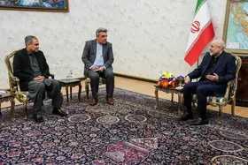 وزیر کشور پاکستان قصد ترک تهران را ندارد