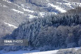 (عکس) زیبایی سوادکوه در برف