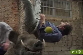 ویدئو | پشت‌صحنه حمله عجیب گراز به نقی در پایتخت ۷