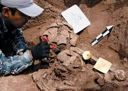 دو جنین ۶۵۰۰ ساله در تپه چپرآباد ایران کشف شد