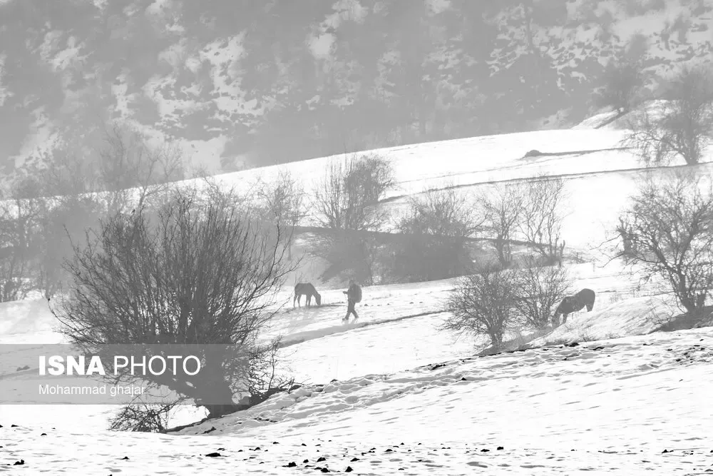 بارش برف در گلستان