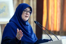 سخنگوی دولت: اینترنت پرو با مصوبه شورای عالی امنیت ملی ایجاد شده است