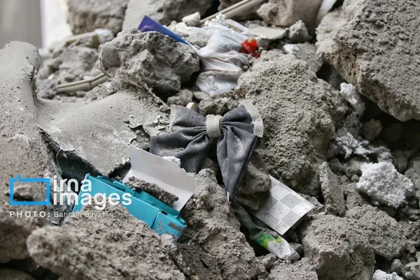 جزئیات آواربرداری در منطقه کوچمشکی زنجان