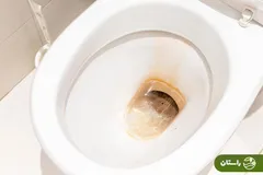 ویدئو | اگر قبض میلیونی آب برای شما آمده، سری به توالت فرنگی بزنید!