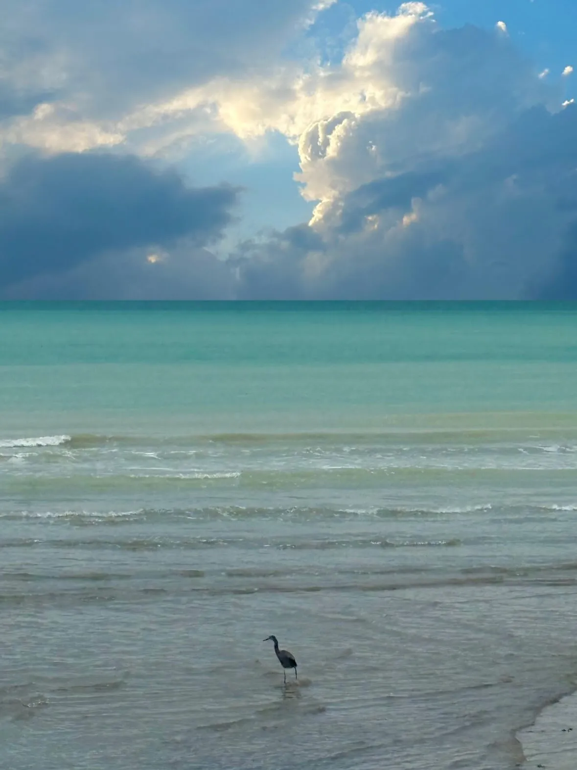 سفر الناز شاکردوست به جنوب با خواهرش