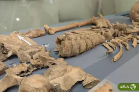 حقایقی عجیب درباره اولین مبارزه انسان و شیر  + عکس