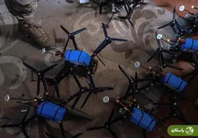 کشف محموله سنگین ریزپرنده و بی‌سیم در هرمزگان‌