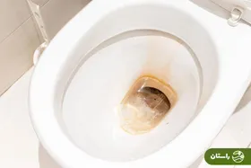 ویدئو | اگر قبض میلیونی آب برای شما آمده، سری به توالت فرنگی بزنید!