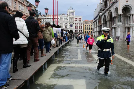 (ویدئو) شنای ماهی‌ها در خیابان‌های ونیز