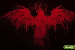 چالش «عقاب خونی» (Blood Eagle Challenge) چیست و چرا برای جوانان خطرناک است؟