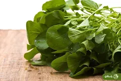 تره تیزک؛ شاه سبزی‌های بهار که کسی از بدی‌هایش به شما چیزی نمی‌گوید | به این دلایل شاهی مصرف نکنید!