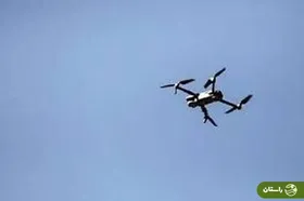 ماجرای کشف بیش از ۱۰ هزار ریزپرنده در تهران