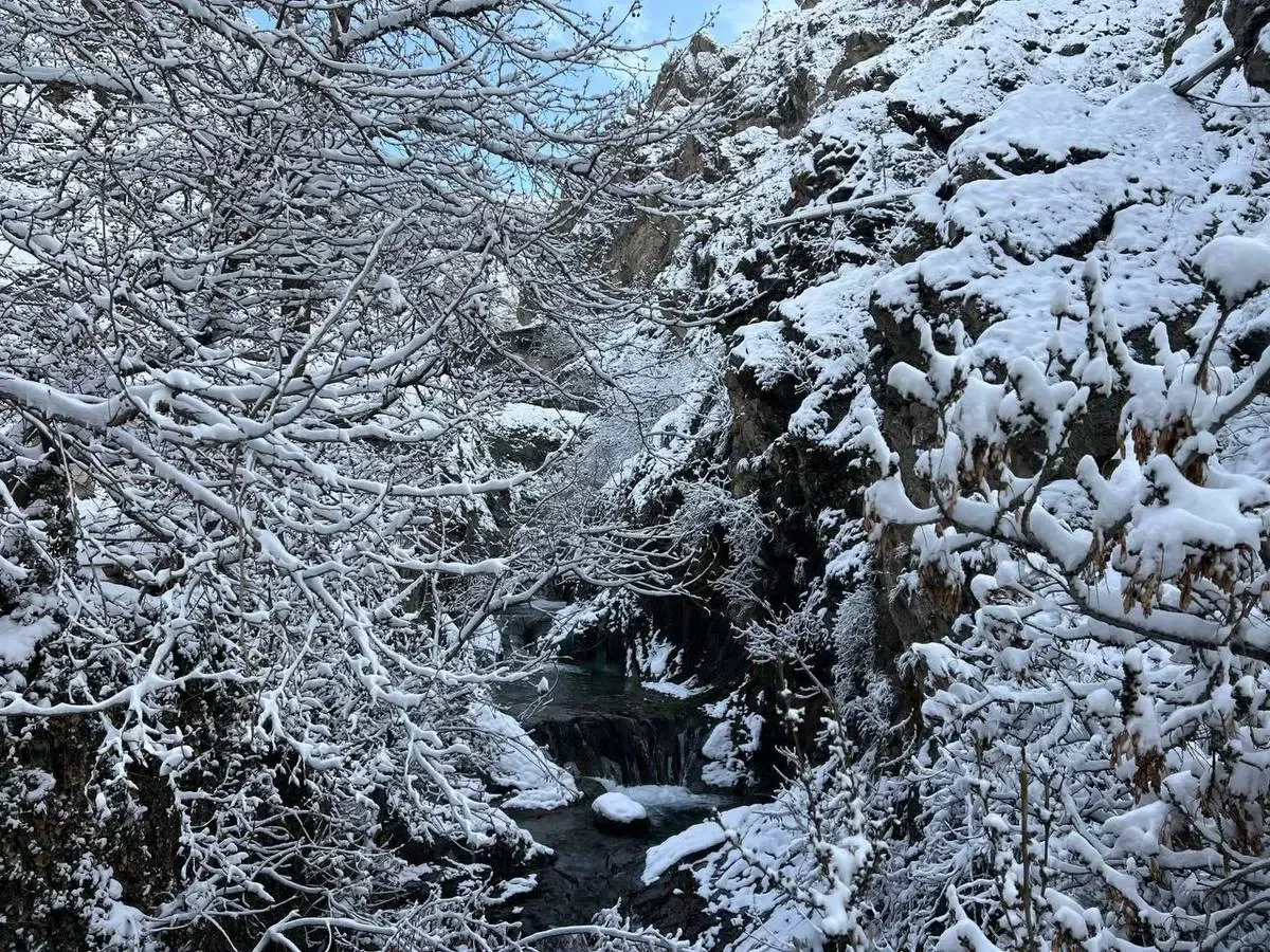 بارش برف در تهران