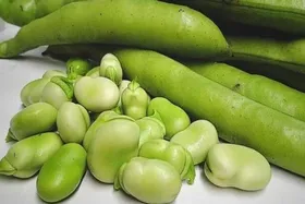 باقلا مضر است یا مفید؟