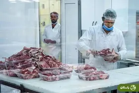 جزییات واردات ۱۰۰ تن گوشت آلوده از مغولستان به رشت