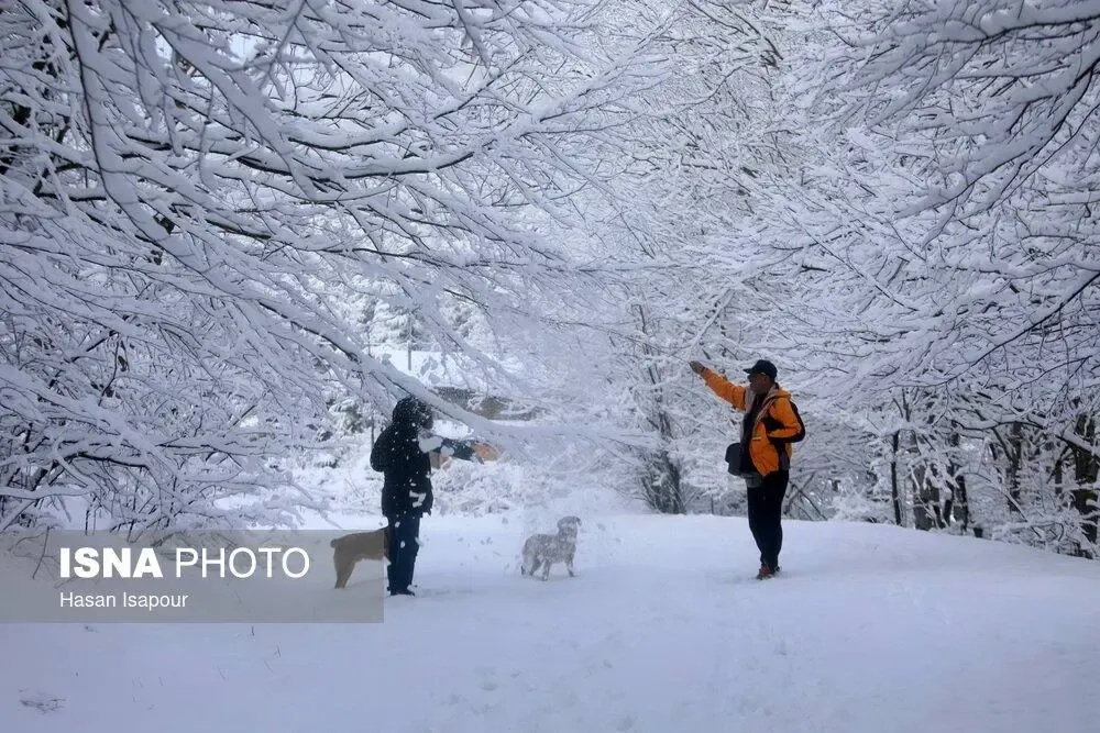 سوادکوه در برف
