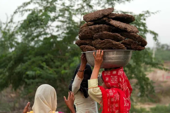 تصاویر | بسته شدن تنگه هرمز و روی آوردن هندی‌ها به سوزاندن فضولات گاو و گوسفند