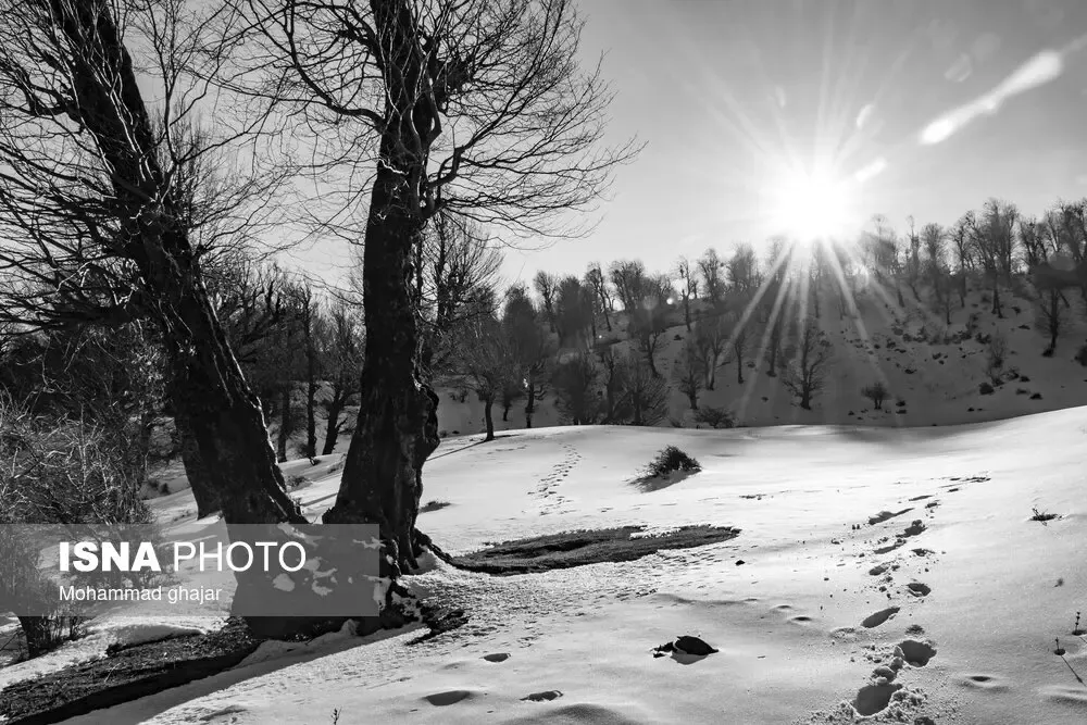 بارش برف در گلستان