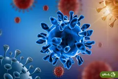 ۱۱ بیماری مسری و روش‌های انتقال آنها