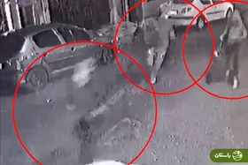 فیلم صحنه سرقت میلیاردی در شرق تهران | رویارویی برادر صاحبخانه و همسایه ها با سارقان مسلح