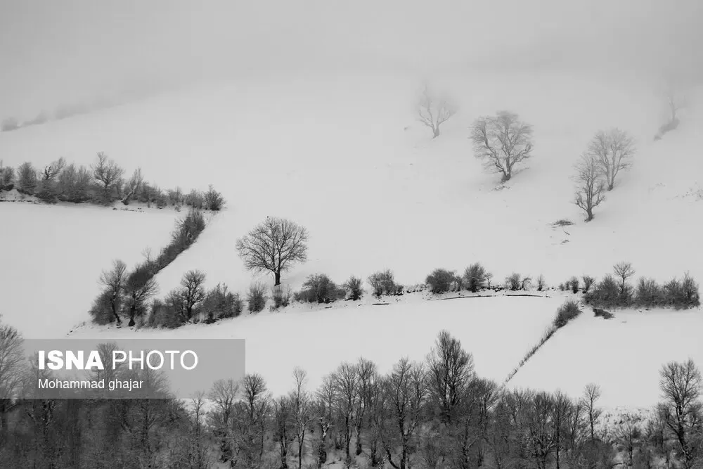 بارش برف در گلستان