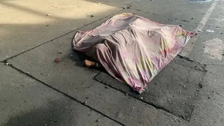 نیروهای محافظ مادورو